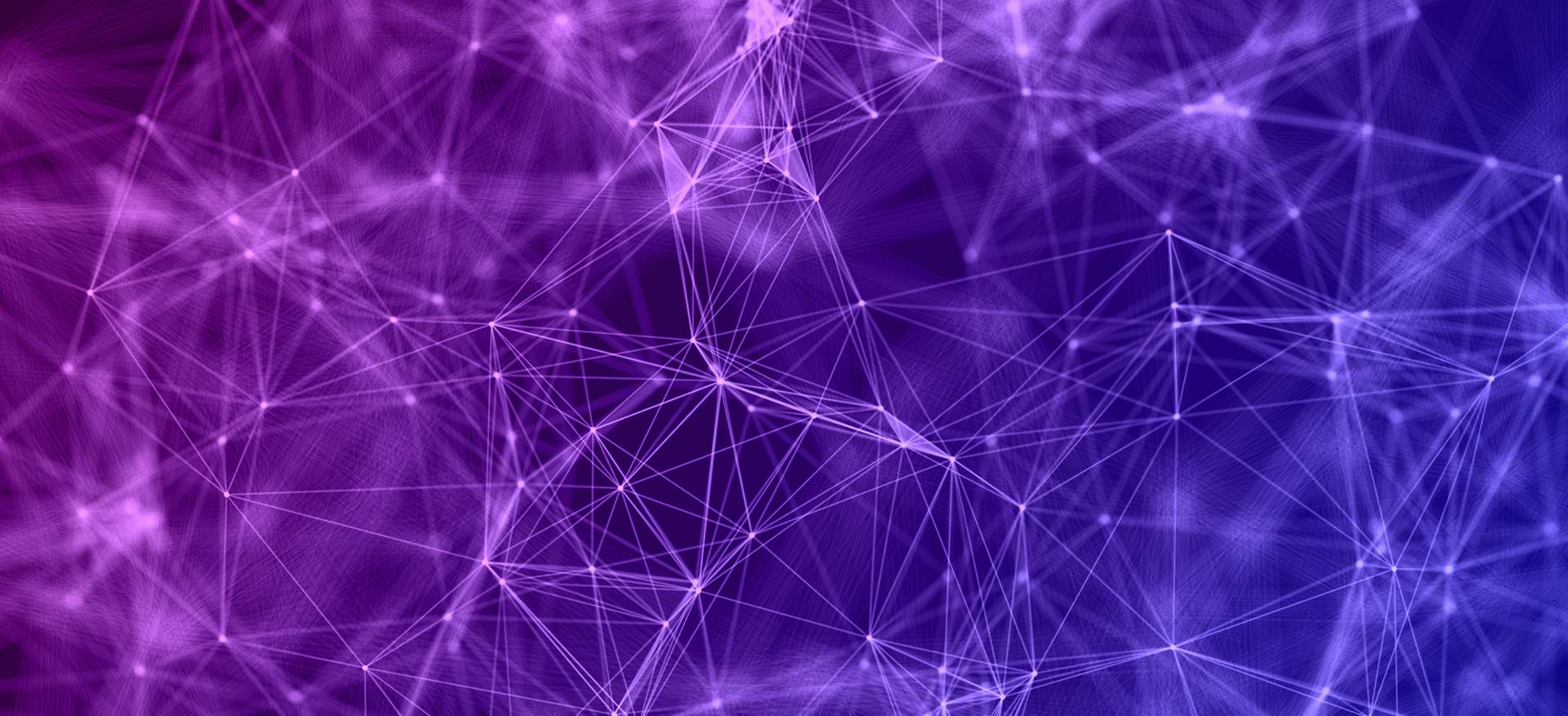 Photo of webs representing interconnection on a purple and blue background